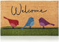Colorful Birds - 17"x29" - Coir Door Mat with Heavy Duty Backing - Welcome Mats for Entryway, Porch - Anti-Slip PVC & Coconut Fiber Surface - Natural Home Accessories, Minimalist Original Design