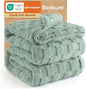 Bedsure GentleSoft Blankets Queen Size for Bed - Super Soft Cozy Blanket for Kids Girls, Large Fuzzy Fleece Spring Throw for Bedroom Decor, Sage Green, 90x90 Inches