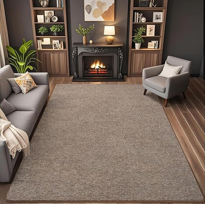 AROGAN Washable 5×7 Living Room Rug, Modern Area Rugs with Soft Memory Foam for Bedroom, Minimalist Non-Slip Indoor Floor Carpet for Dining Room Office Kids Playroom Decor, Matte Brown