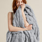 Bedsure GentleSoft Twin Blanket for Bed Silver Grey - Super Soft Cozy Blankets for Kids Girls, Cute Fuzzy Fleece Throws for Bedroom Couch, 60x80 Inches