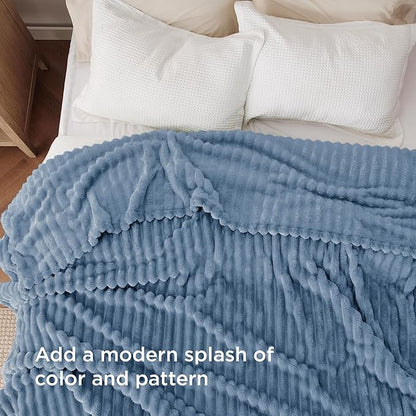 Bedsure GentleSoft Queen Blanket for Bed - Cozy Soft Blankets for Women, Cute Large Fall Throws for Girls, Blue, 90x90 Inches