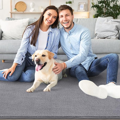 AROGAN Modern Shag Area Rug for Living Room, 6x9 Feet Washable Rugs for Bedroom, Indoor Floor Carpet, Plush Memory Foam Bedside Rugs for Kids Girls Teens Room Low Pile Rug Decor, Grey