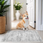 2x3 Washable Rug Runner for Bathroom, Soft Entryway Rug for Laundry Room, Kitchen, Vintage Abstract Hallway Runner for Bedroom, Anti-Slip Door Mat Indoor Entrance(2'x3', Grey/Ivory)