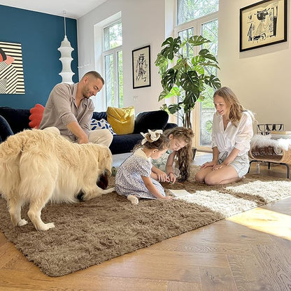 OLANLY 5x8 Machine Washable Large Area Rugs for Living Room, Bedroom, Soft Fluffy Shaggy Bedside Rug, Indoor Floor Carpet for Kids Girls and Boys, Dorms, Nursery, Home Decor Aesthetic, Taupe
