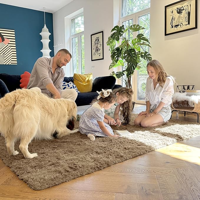 OLANLY 6x9 Machine Washable Large Area Rugs for Living Room, Bedroom, Soft Fluffy Shaggy Bedside Rug, Indoor Floor Carpet for Kids Girls and Boys, Dorms, Nursery, Home Decor Aesthetic, Taupe