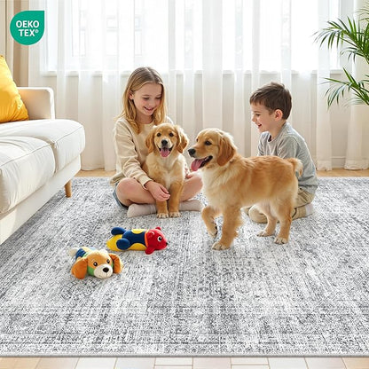 Area Rugs 4x6 for Living Room, Non-Slip Backing Small Kids Rugs for Bedroom, Vintage Abstract Rug Home Decor, Low Pile Soft Washable Rug for Kitchen, Dining Room (4'x6', Grey/Ivory)